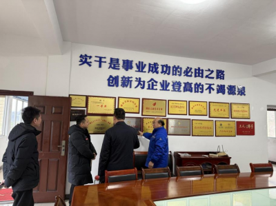 洪江區(qū)工委社會工作部走訪調研我司黨建工作